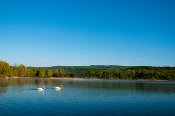 Blooming trees on a mountain lake in the open air against the background of the forest and mountains