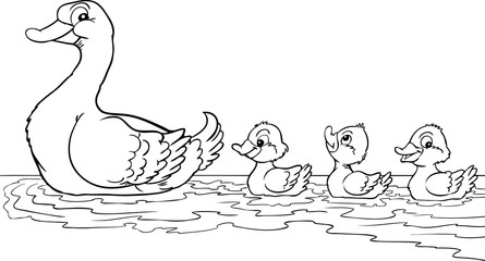 Mother duck and the ducklings