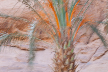 Wadi Rum, Jordania, Oriente Medio