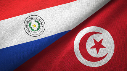 Paraguay and Tunisia two flags textile cloth, fabric texture