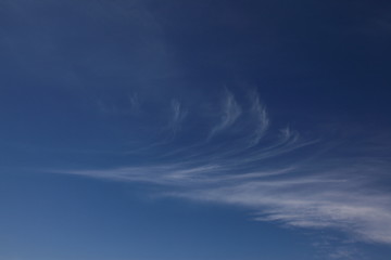 Fototapeta na wymiar Federwolken (Cirrus) am blauem Himmel