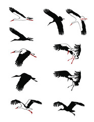 Flying storks silhouettes set. Vector illustration.