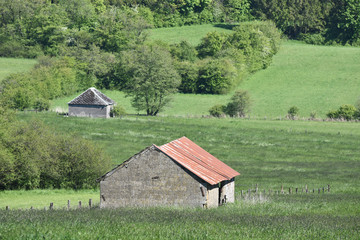 agriculture agricole vert  bio environnement terre planete  climat climatique rural ruralite...