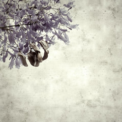  old paper background