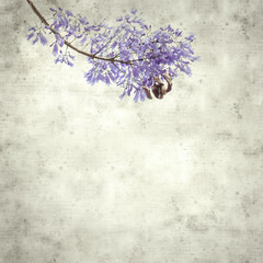  old paper background
