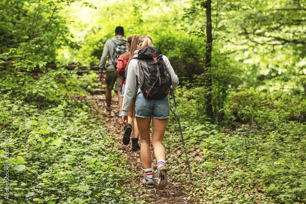 Wall mural group of friends hiking together in nature.they walking on old path.rear view.