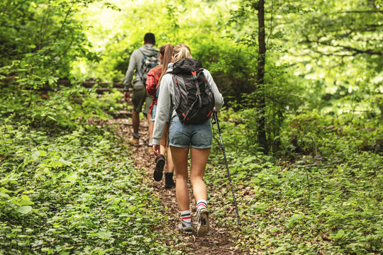 Group of friends hiking together in nature.They walking on old path.Rear view. - Powered by Adobe