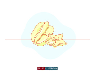Continuous line drawing of carambola fruit. Template for your design. Vector illustration.