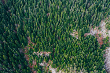 Bicaz gorge seen from a drone