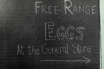 Salibury, Connecticut, USA A sign for free range eggs.