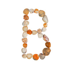 letters of the English alphabet, made of seashells