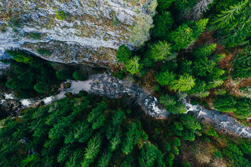 Creek winding through cliffs and forests seen from a drone
