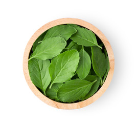 Holy Basil,Ocimum sanctum leaf in wood bowl isolated on white background. top view