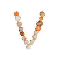 letters of the English alphabet, made of seashells