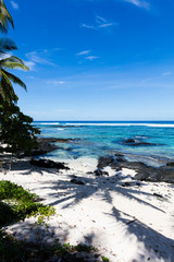 Fototapeta na wymiar Vibrant tropical beach on Samoa Island with coconut palm trees and black rocks