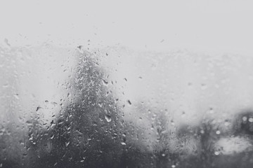 rain drops on window