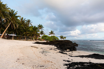Vibrant tropical beach on Samoa Island with coconut palm trees and black rocks