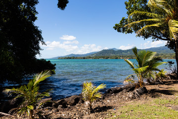 Vibrant tropical beach on Samoa Island with coconut palm trees and black rocks