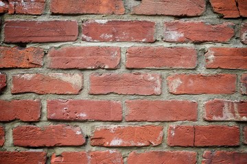 Obraz premium Brick wall background