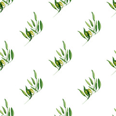 Watercolor olive branch seamless pattern on white background.