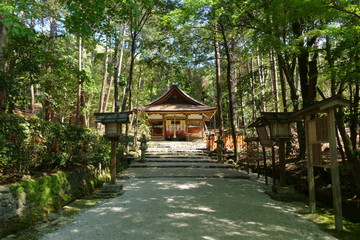 京都、大田神社の拝殿と新緑の参道