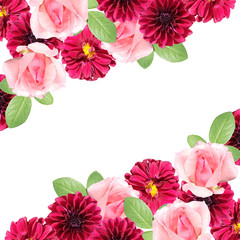 Beautiful floral background of dahlias and roses. Isolated