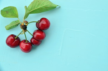 red cherries on a branch