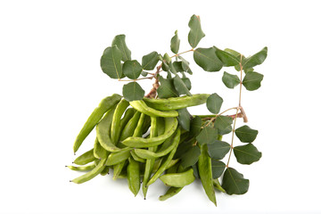 Green carob pods isolated on white background.Ceratonia siliqua, commonly known as the carob tree...