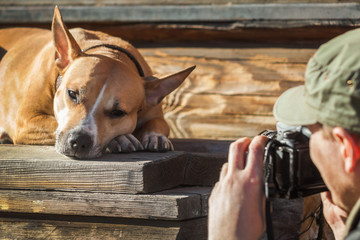 The photographer photographs the sleeping dog