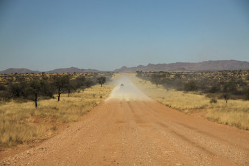 długa prosta droga szutrowa biegnąca przez dzikie tereny w afryce - obrazy, fototapety, plakaty