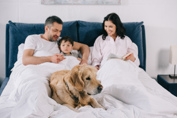 Obraz premium selective focus of dog lying on bed near happy parents and toddler son