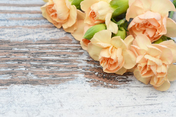 flower carnation lying on wood