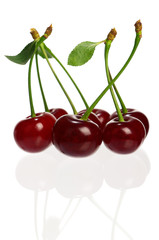 Sweet ripe cherries isolated on a white background