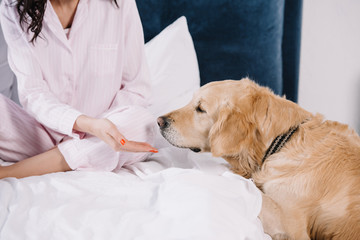 cropped view of woman gesturing near golden retriever at home