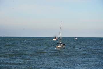 Fototapeta premium itaja i - sc 