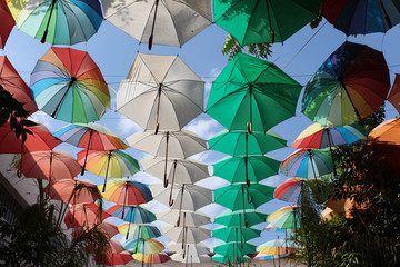 Fototapeta na wymiar Umbrella / Parasol