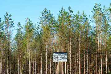 Orleans forest in Centre-Val de Loire region