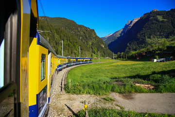 Yellow green train passes through a curved bend in the beautiful natural green grasslands and...