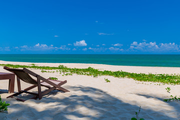 beach chair and palm trees foreground on tropical beach, Paradise Island for holidays and relaxation