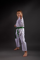 Little Karateka Girl