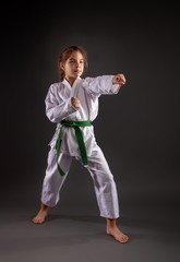 Little Karateka Girl