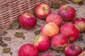 Fresh red apples texture. Fresh apple lying on the counter in straw basket - orange and red texture with fresh fruits - apple with green leaves in basket