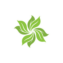 Leaf  Vector Illustration Design