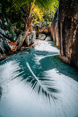 Walking path between big granite boulders on Anse Source D Argent, La Digue island Seychelles. Contrast shadow of palm leaf on the ground. Vacation travel concept