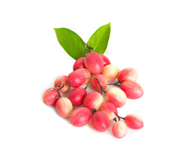 Carissa carandas Linn,Karanda, Carunda with leaves isolated on white background