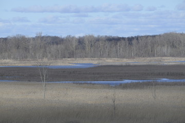 Giletts lake Michigan USA