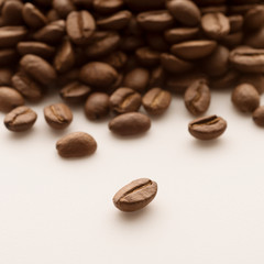 コーヒー豆