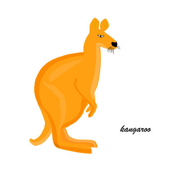 Kangaroo icon. Cartoons orange australian animal object isolated design element stock vector illustration for web, for print