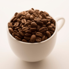 コーヒーカップに入ったコーヒー豆