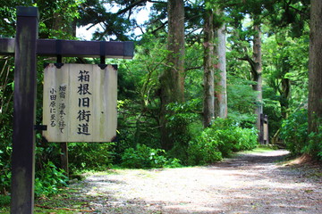 箱根旧街道